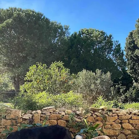 Gite Mas Provencal Tarascon Exterior foto