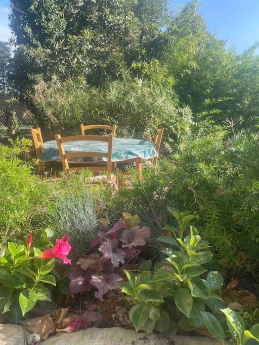 Mas Provencal Tarascon