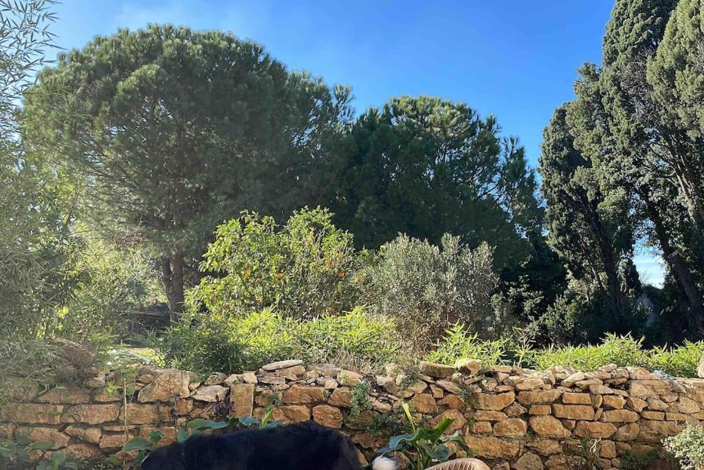 Mas Provencal Ferienhaus