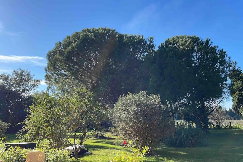 Mas Provencal