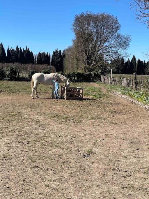 Mas Provencal Casa de Férias *